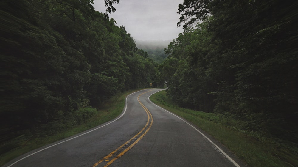 gray concrete road between green trees under white sky during daytime