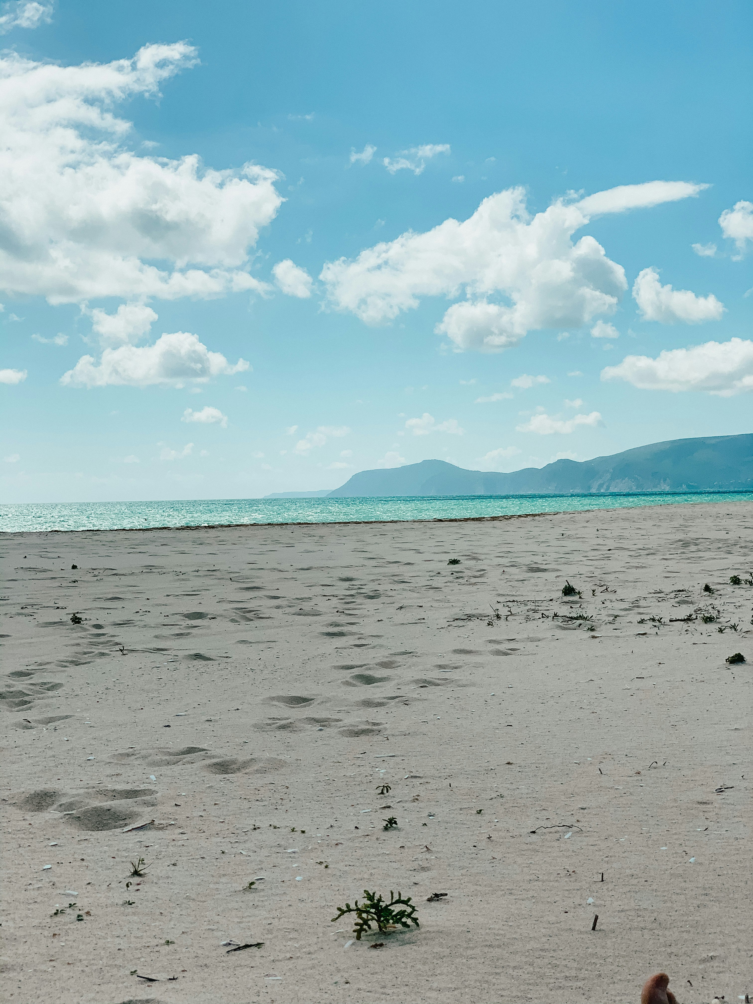 people on beach during daytime