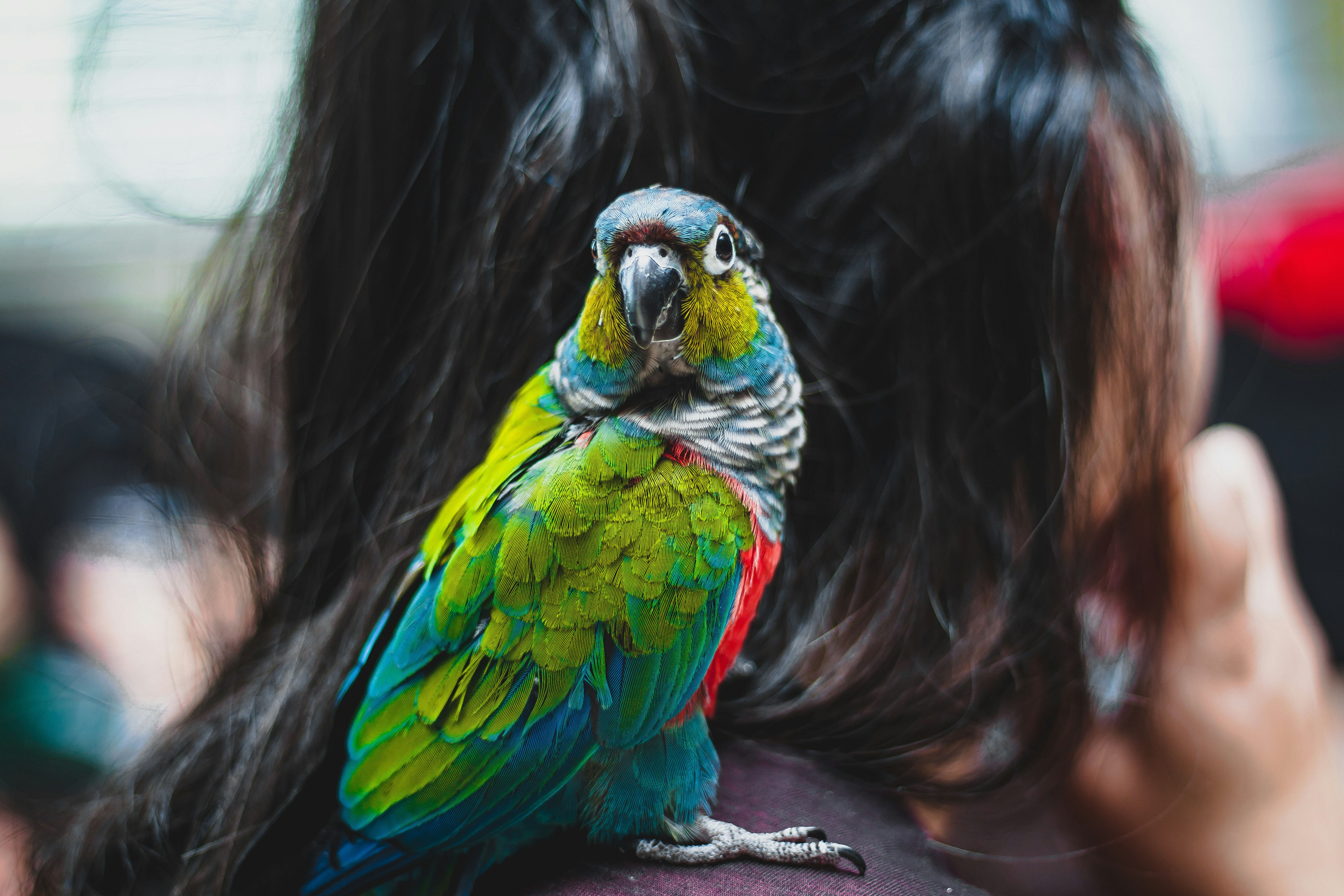 Photo by creepyhands