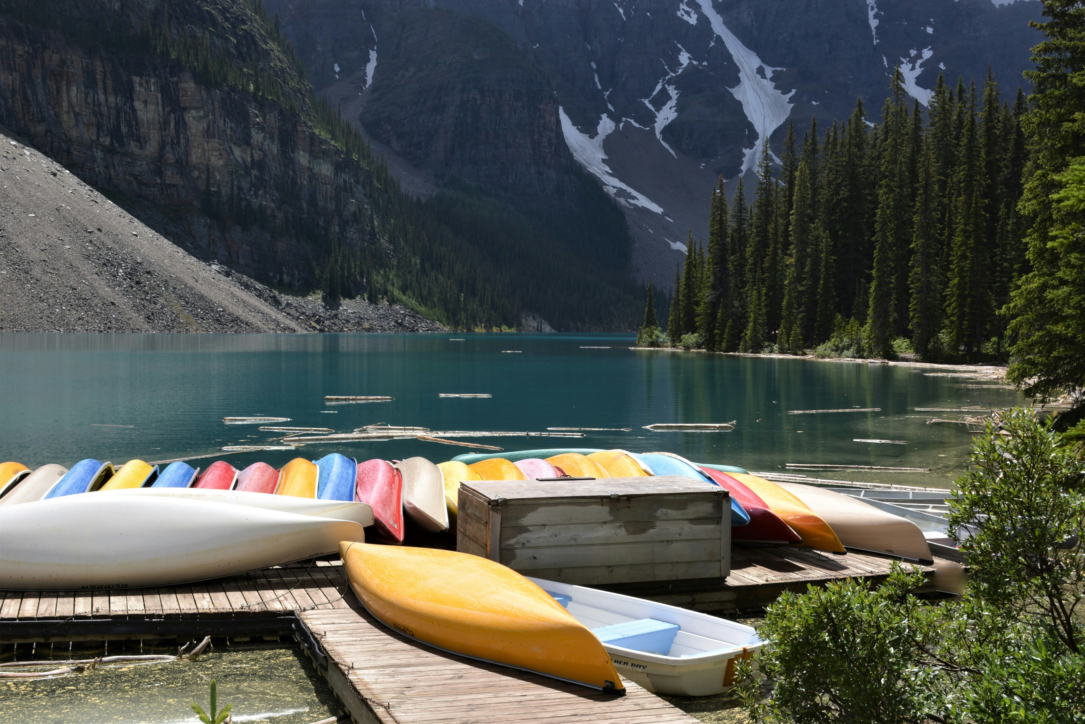 Photo by pedrino5_official