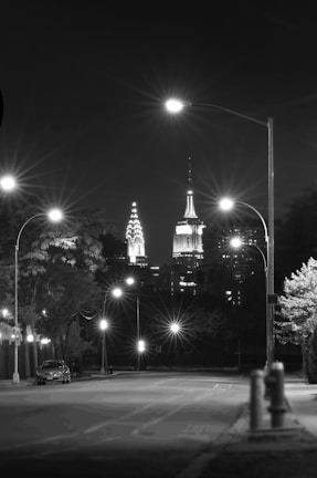 A night scene featuring a city skyline illuminated by lights.