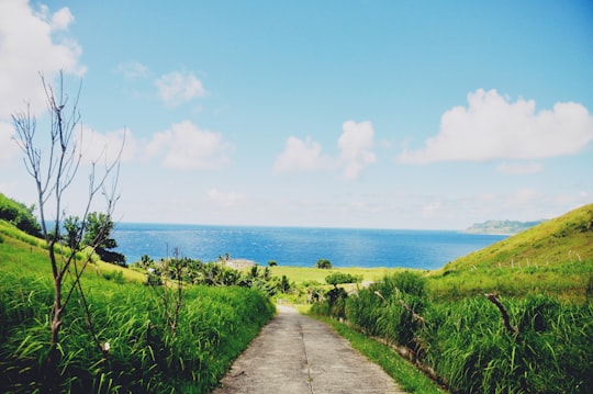 gray concrete pathway near green grass and body of water during daytime in Uyugan Philippines