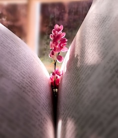 pink flower on white book page