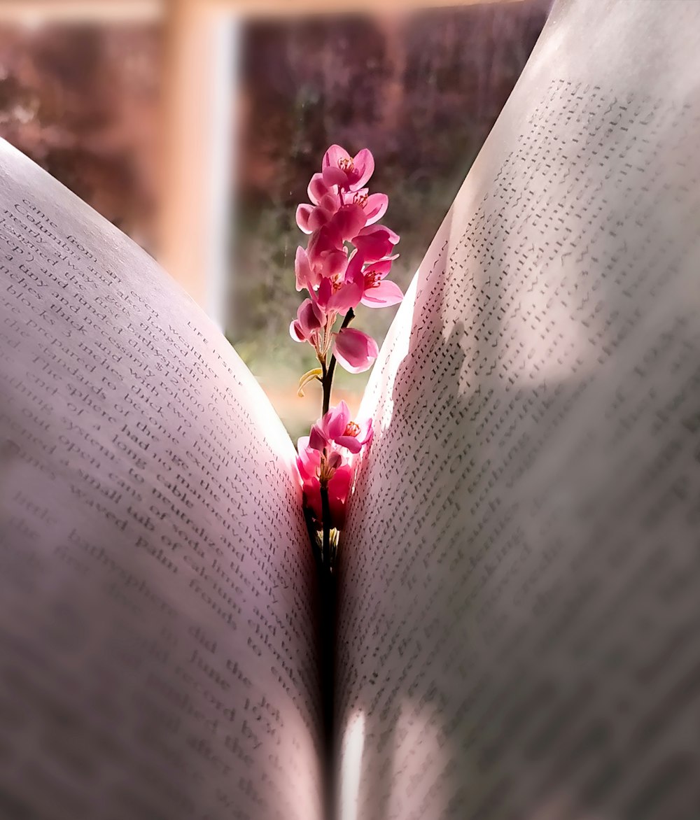 pink flower on white book page
