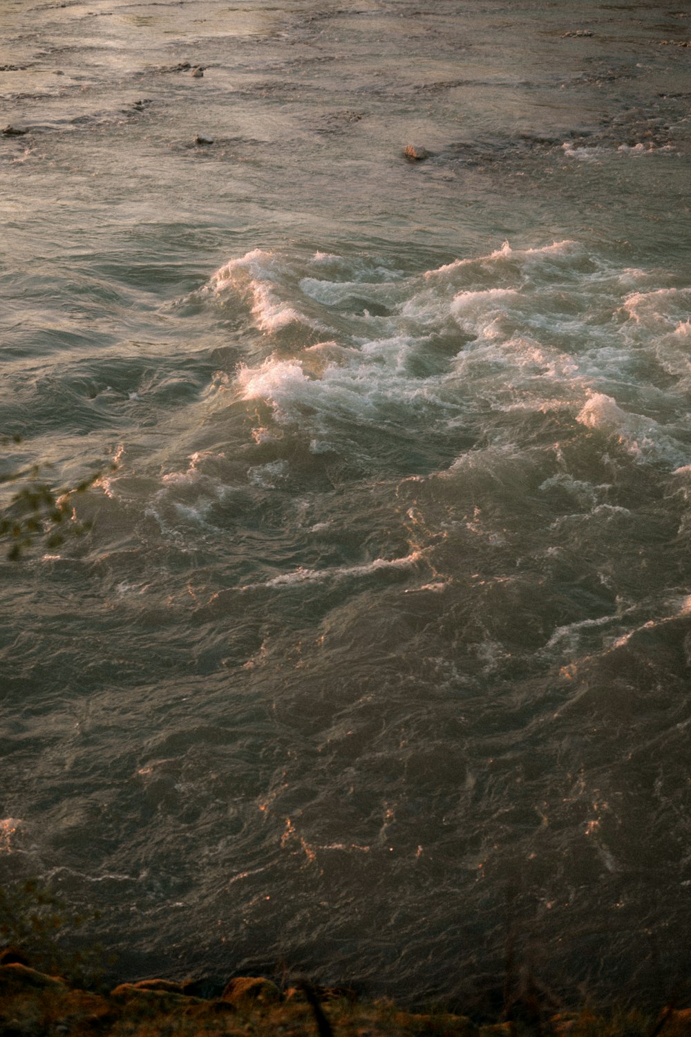 body of water during daytime