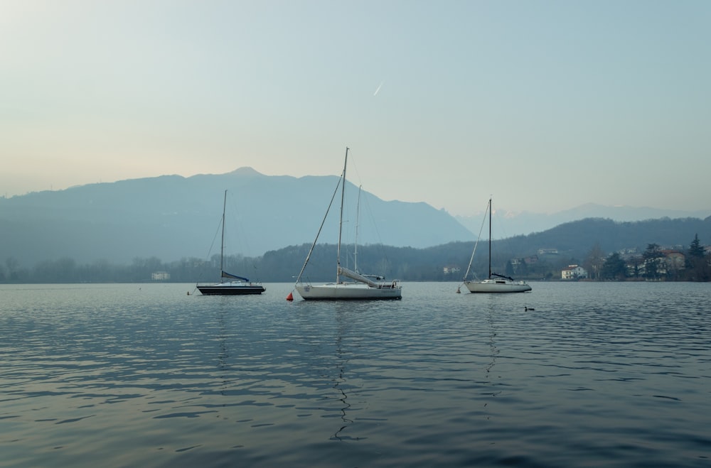 white sail boat on body of water during daytime