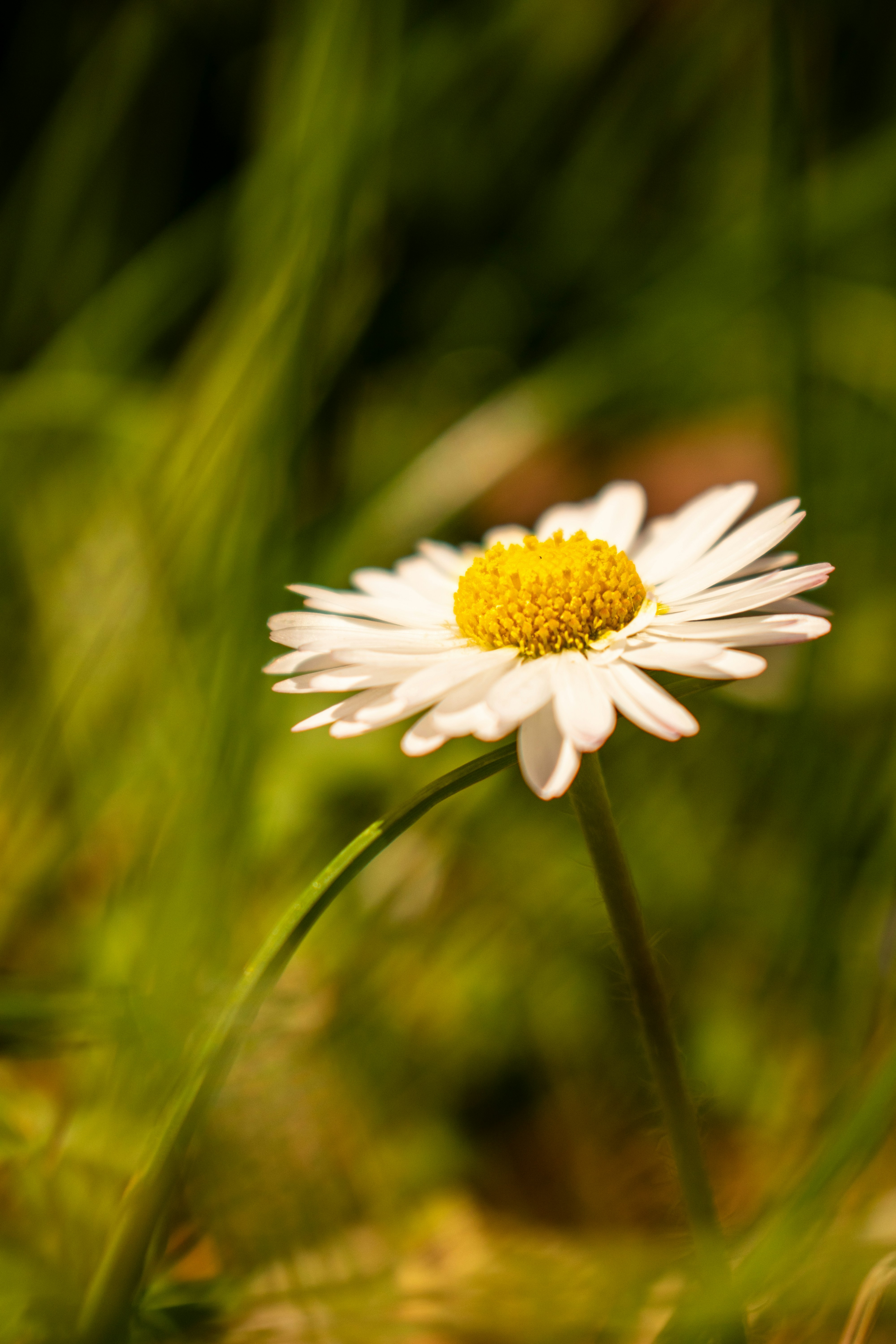 Photo by hedodiii9619