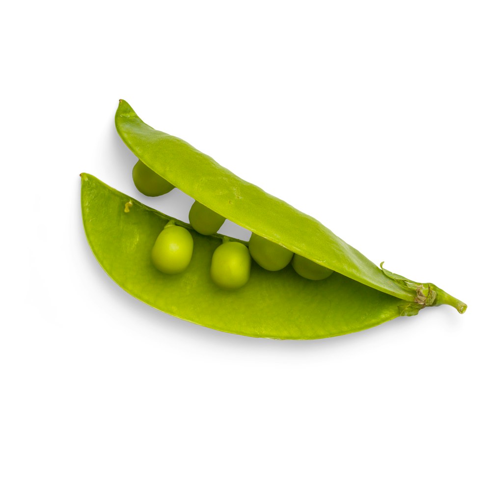 grüne ovale Frucht mit weißem Hintergrund