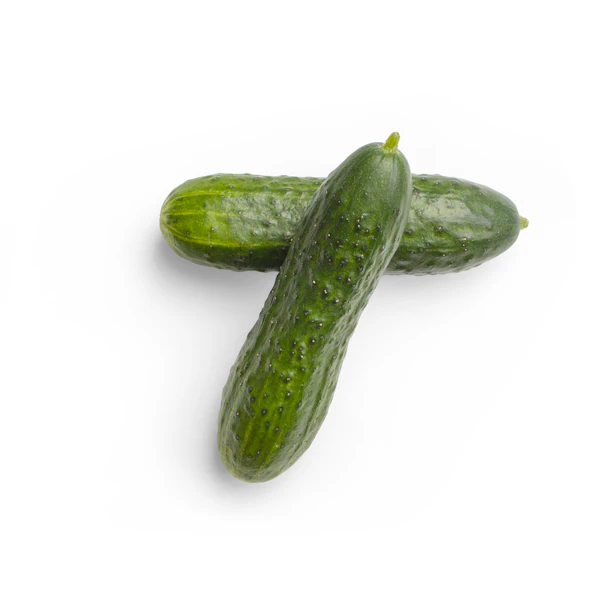 Bottle gourd on the vine