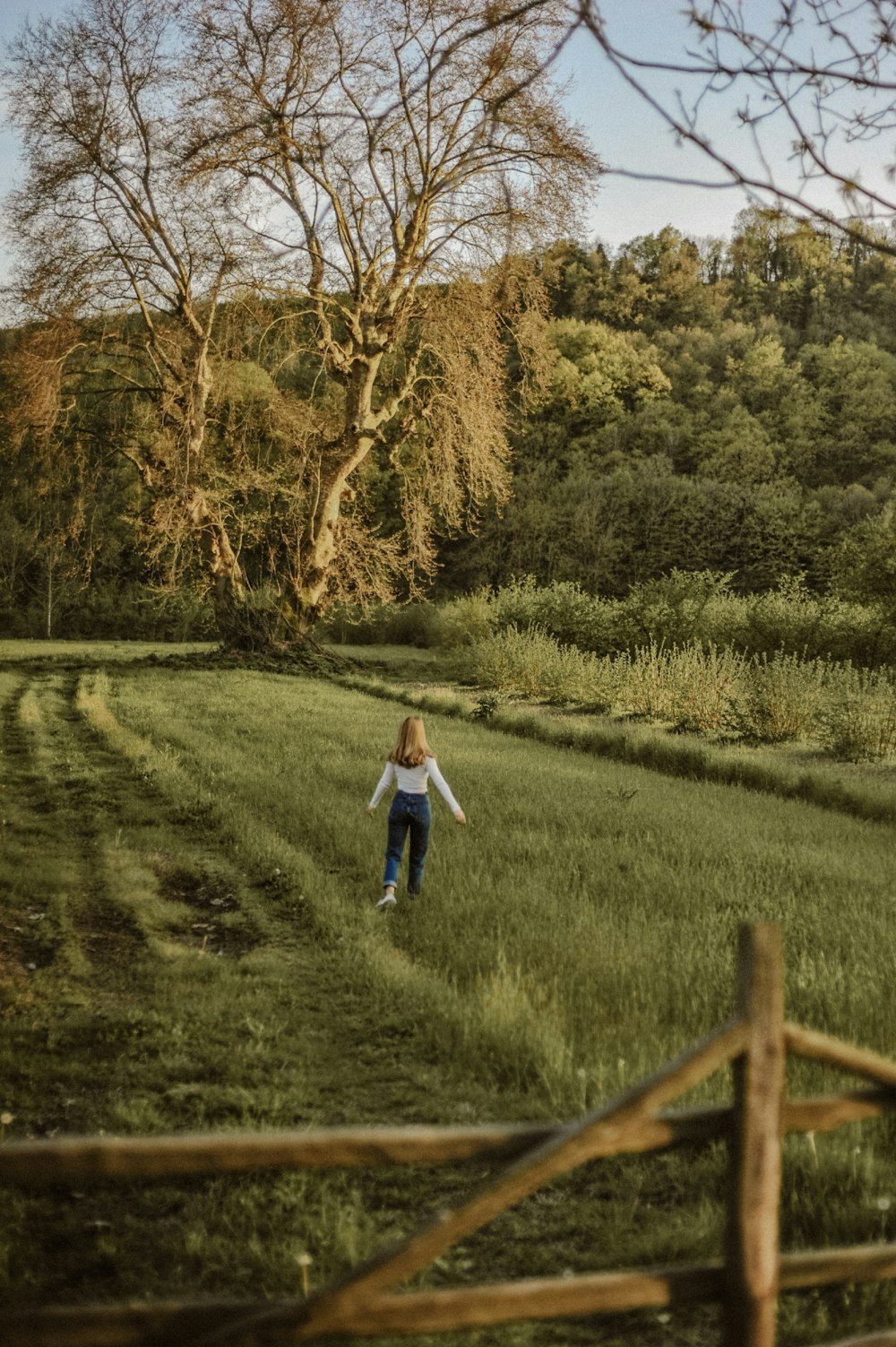 menina na camisa branca de manga comprida e jeans jeans azuis andando no campo de grama verde durante