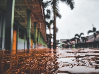 water droplets on glass during daytime