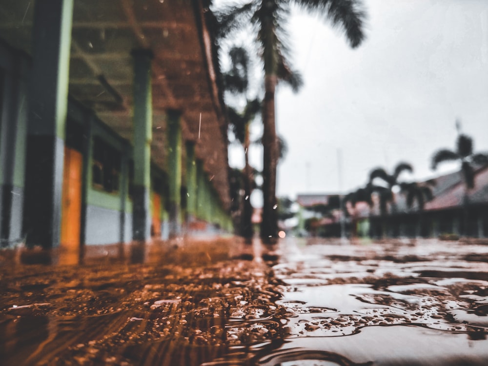 water droplets on glass during daytime