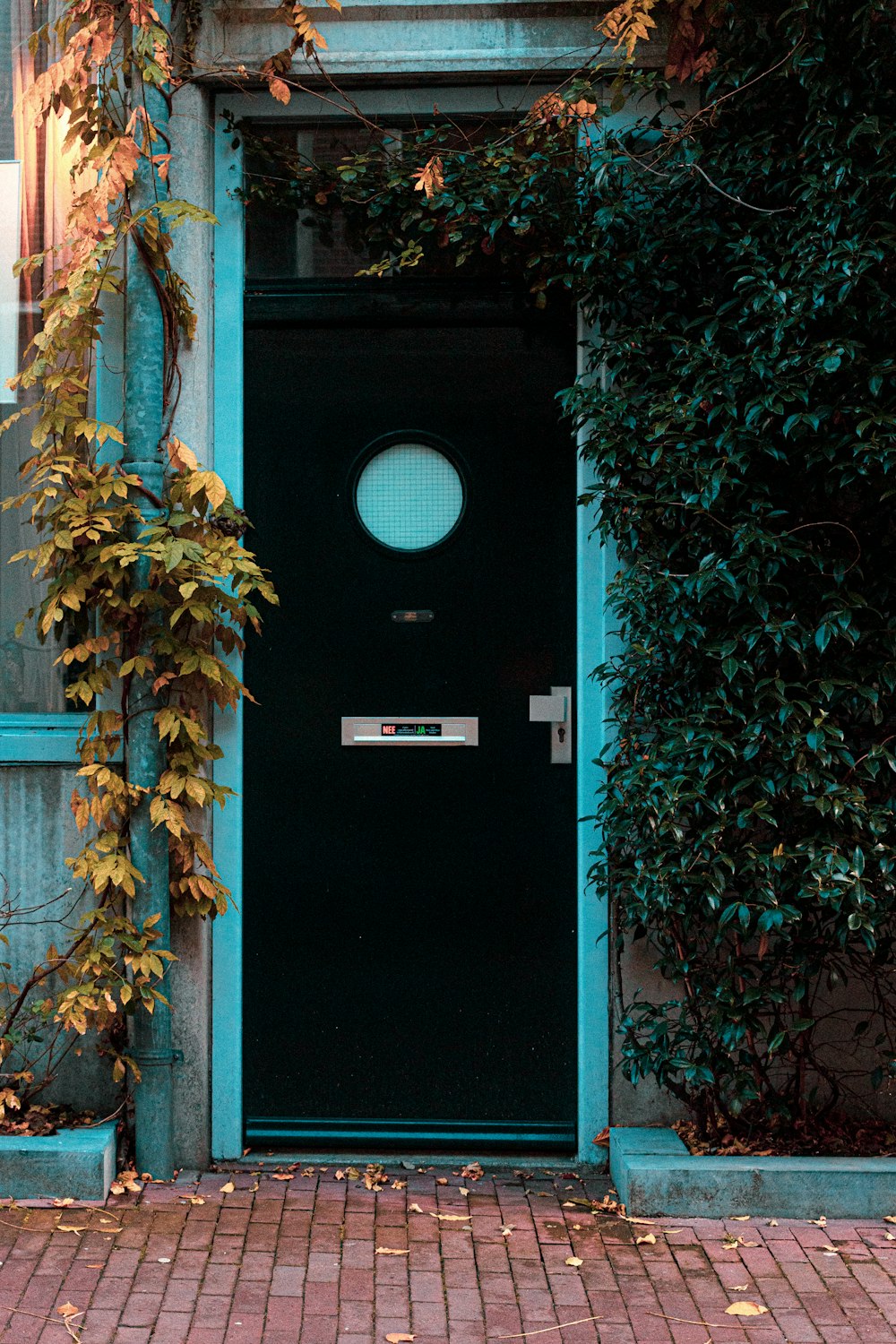 green wooden door with glass