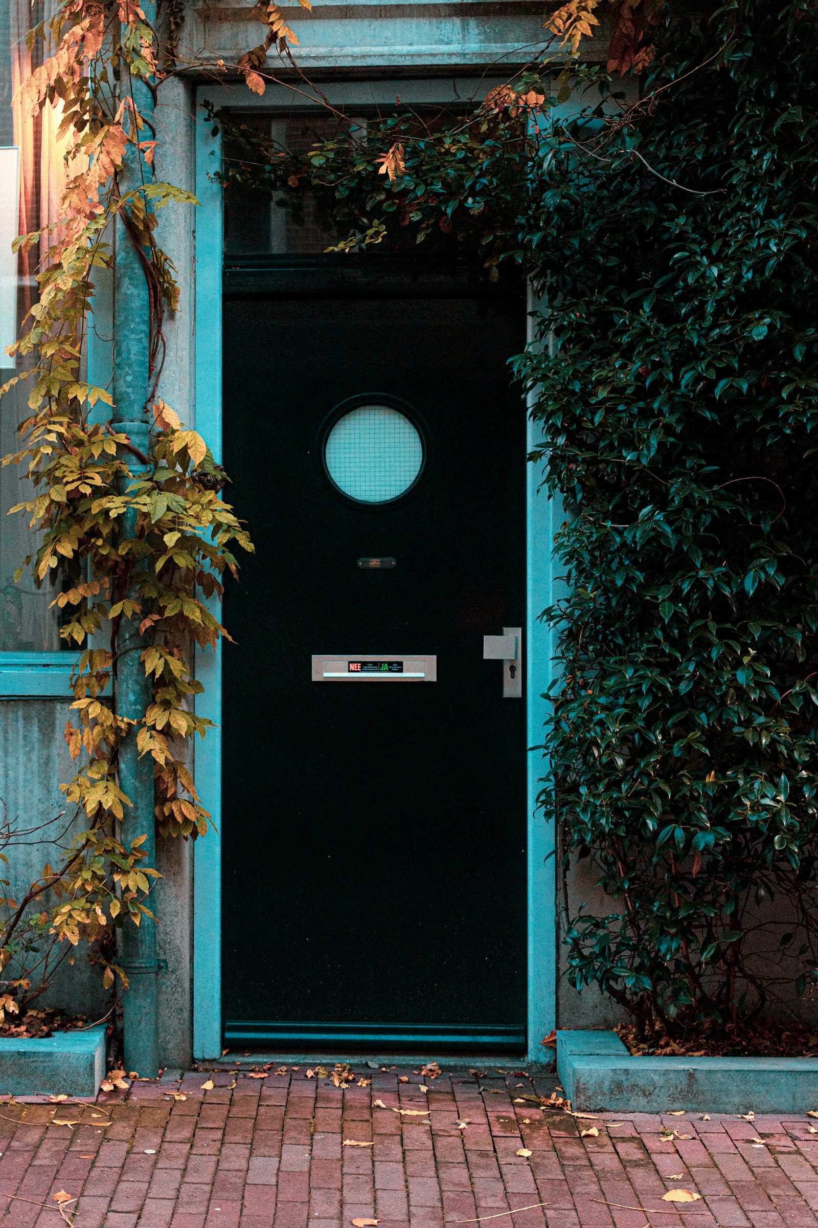 Canon EOS 77D (EOS 9000D / EOS 770D) + Canon EF 40mm F2.8 STM sample photo. Green wooden door with photography