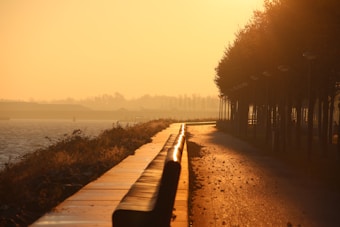 A serene waterfront walkway is illuminated by the warm glow of a sunset. The pathway is lined with trees on one side and a body of water on the other. The silhouette of trees and street lamps contrasts with the golden sky, creating a peaceful and calm atmosphere.