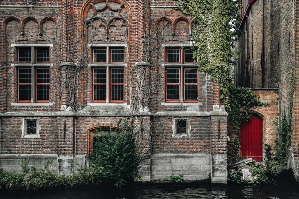 brown brick building with green plants