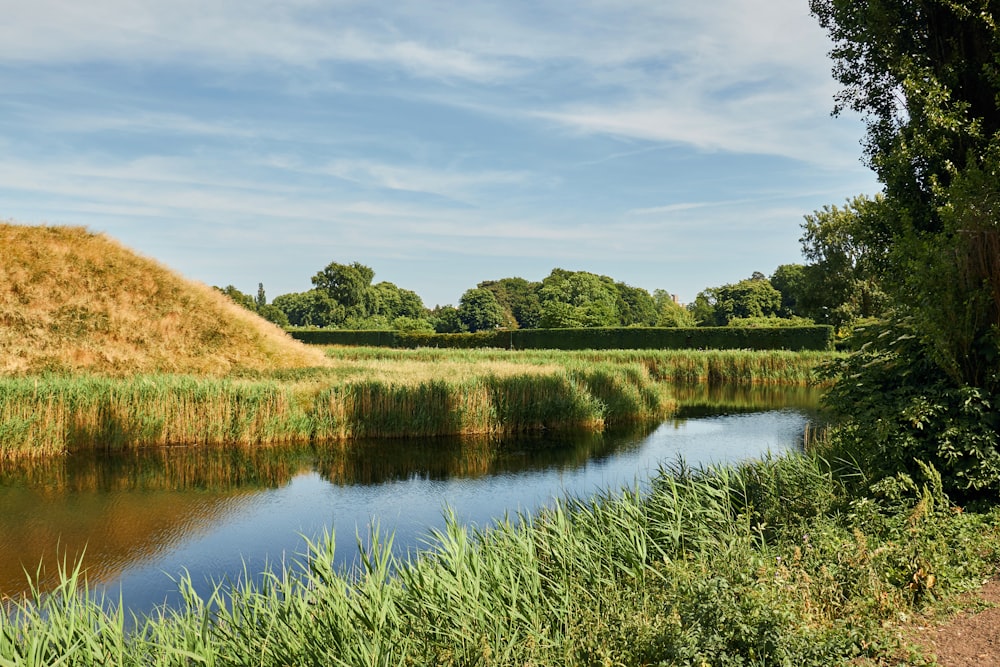 green grass field near lake under blue sky during daytime