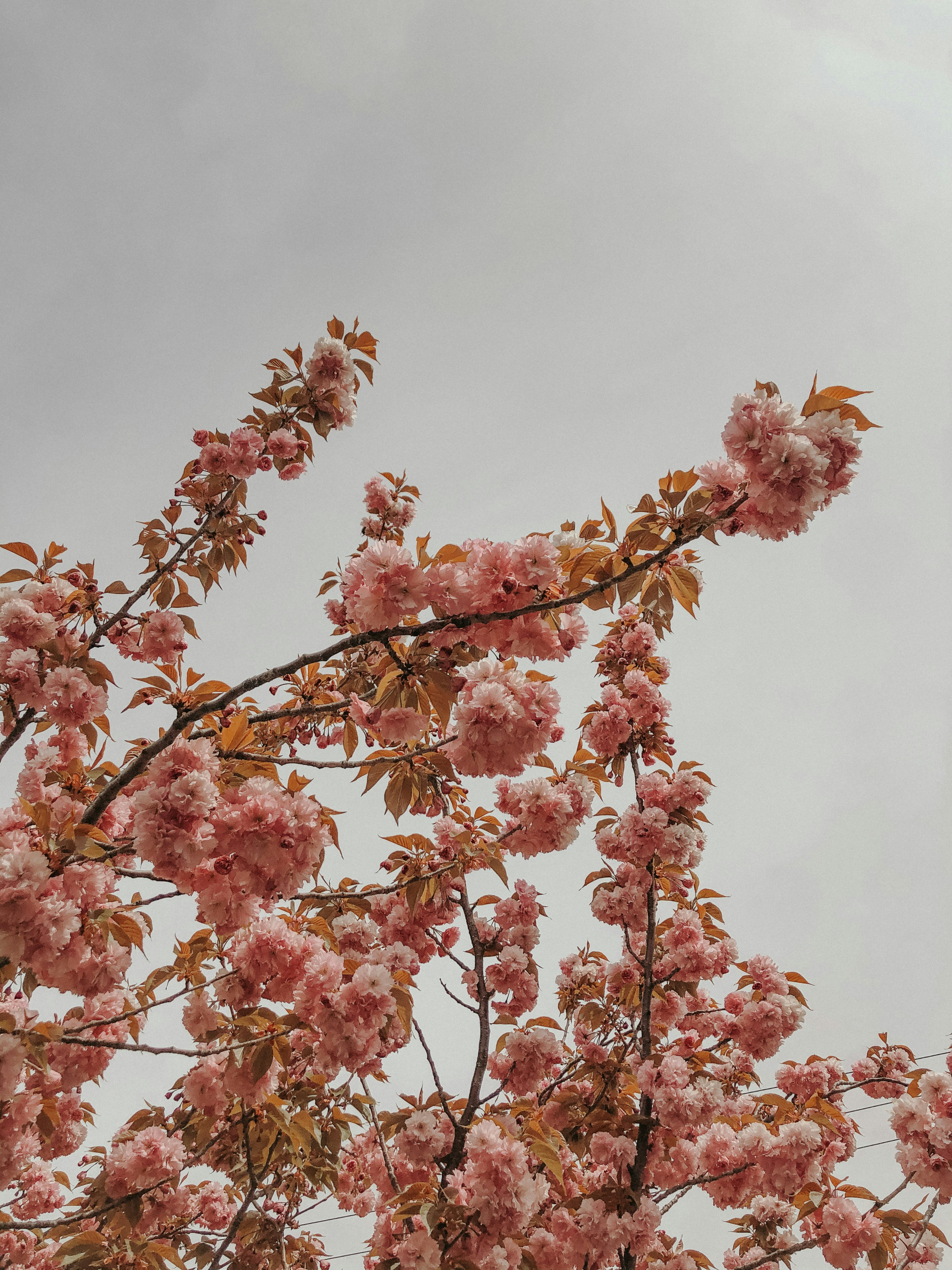 Photo by dianajulcapoma