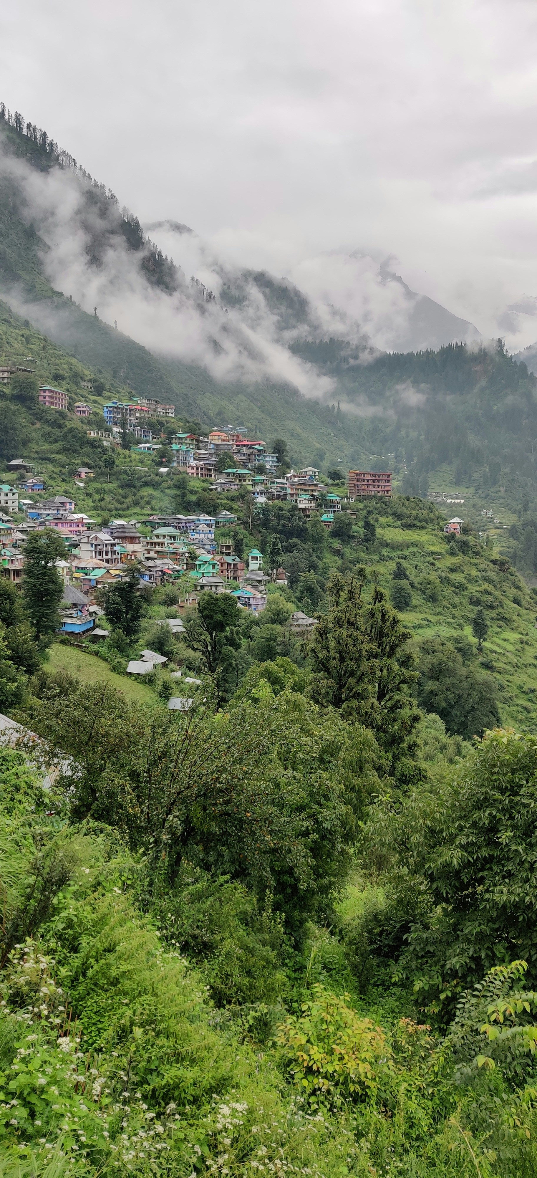 Photo by noobiedoobie