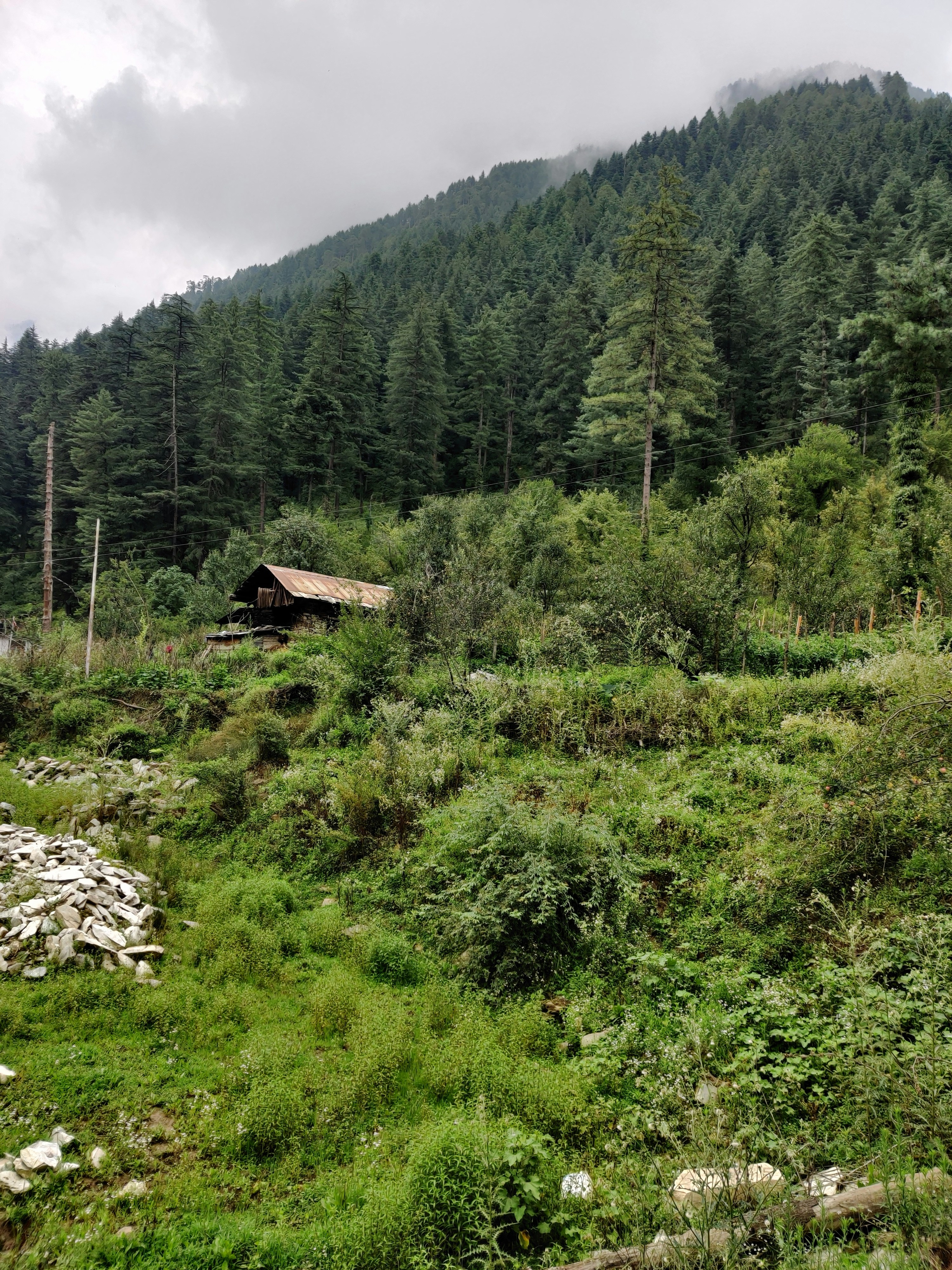 Photo by noobiedoobie