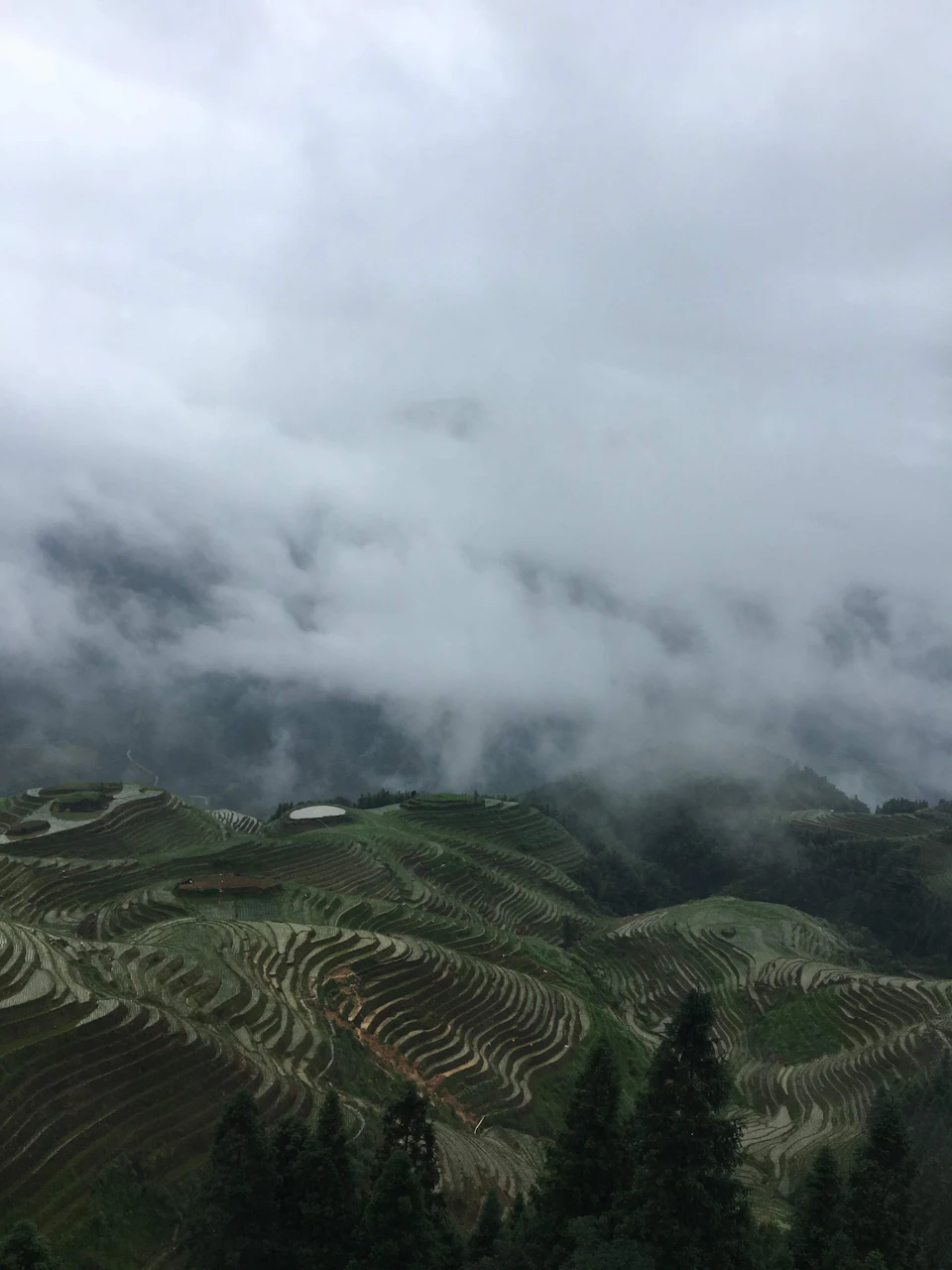 The image depicts a mountainous landscape with a large, steep hill covered in lush green vegetation and terraced fields. The sky above is filled with clouds, creating an overcast atmosphere that adds to the overall mood of the scene. In the distance, there are trees scattered across the landscape, providing a sense of depth and scale.
