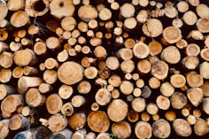 brown wood logs in close up photography