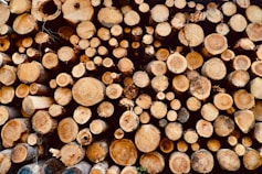 brown wood logs in close up photography
