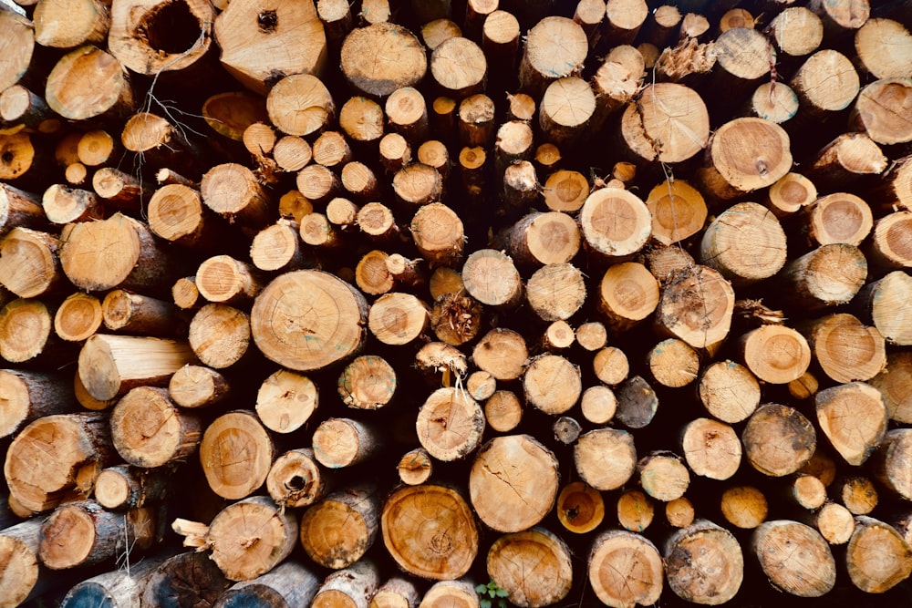 brown wood logs in close up photography