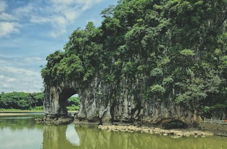 green trees beside river under blue sky during daytime