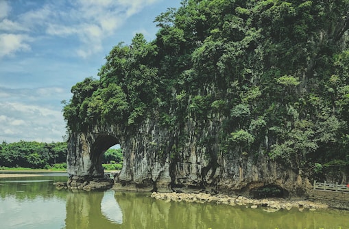 green trees beside river under blue sky during daytime