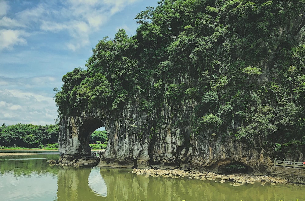 green trees beside river under blue sky during daytime