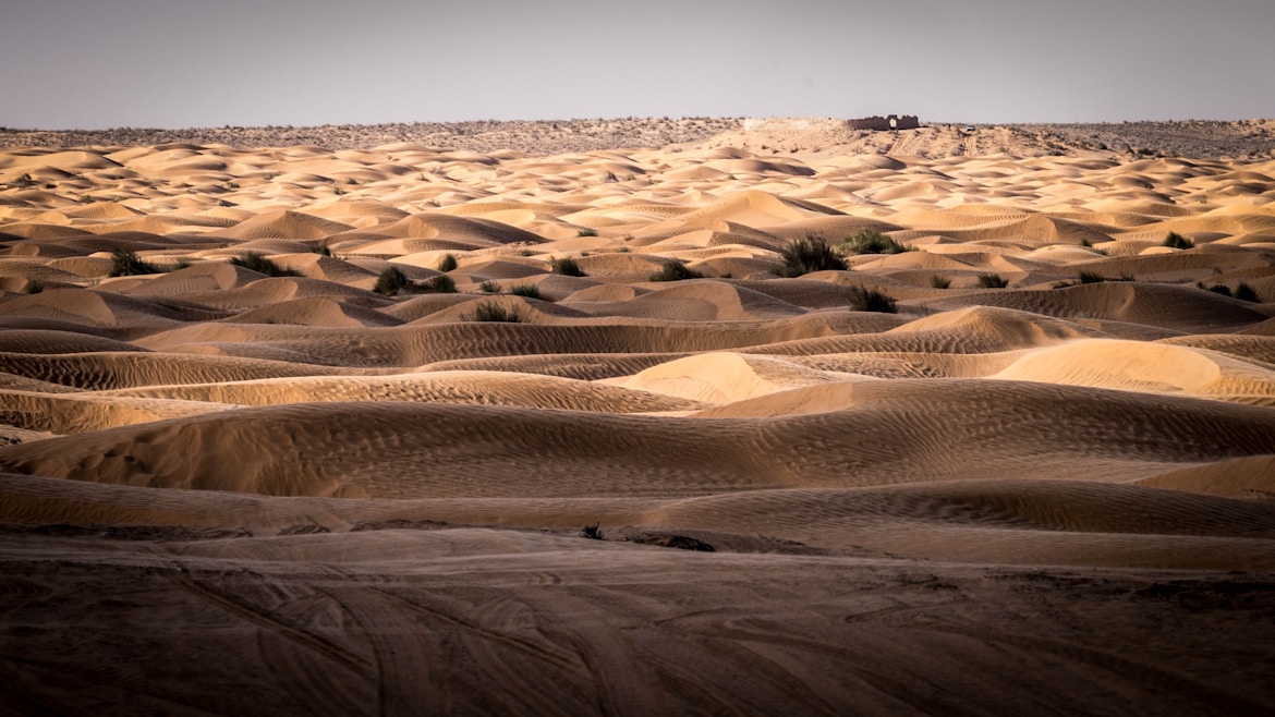 Tunisia