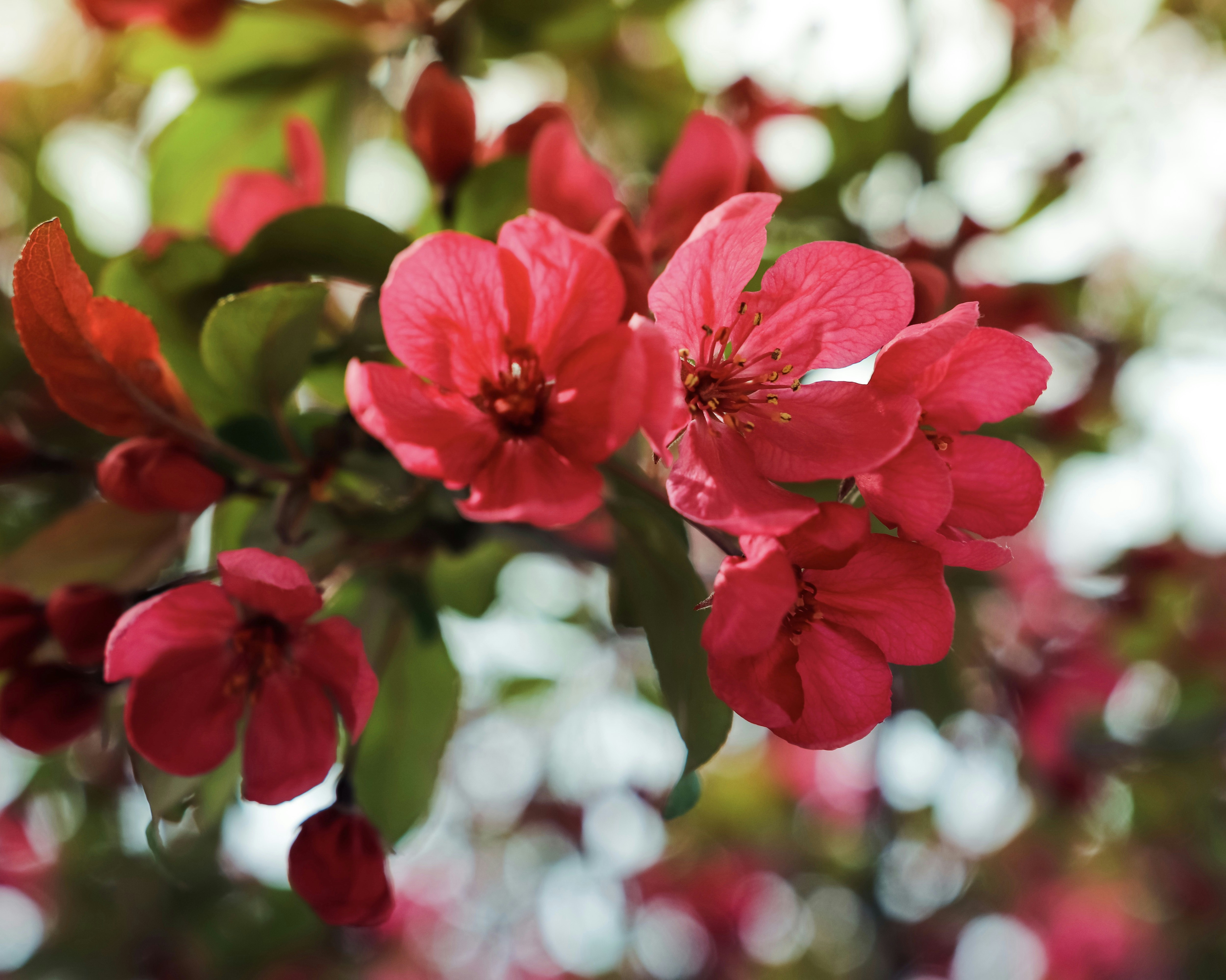 Photo by create4eyes