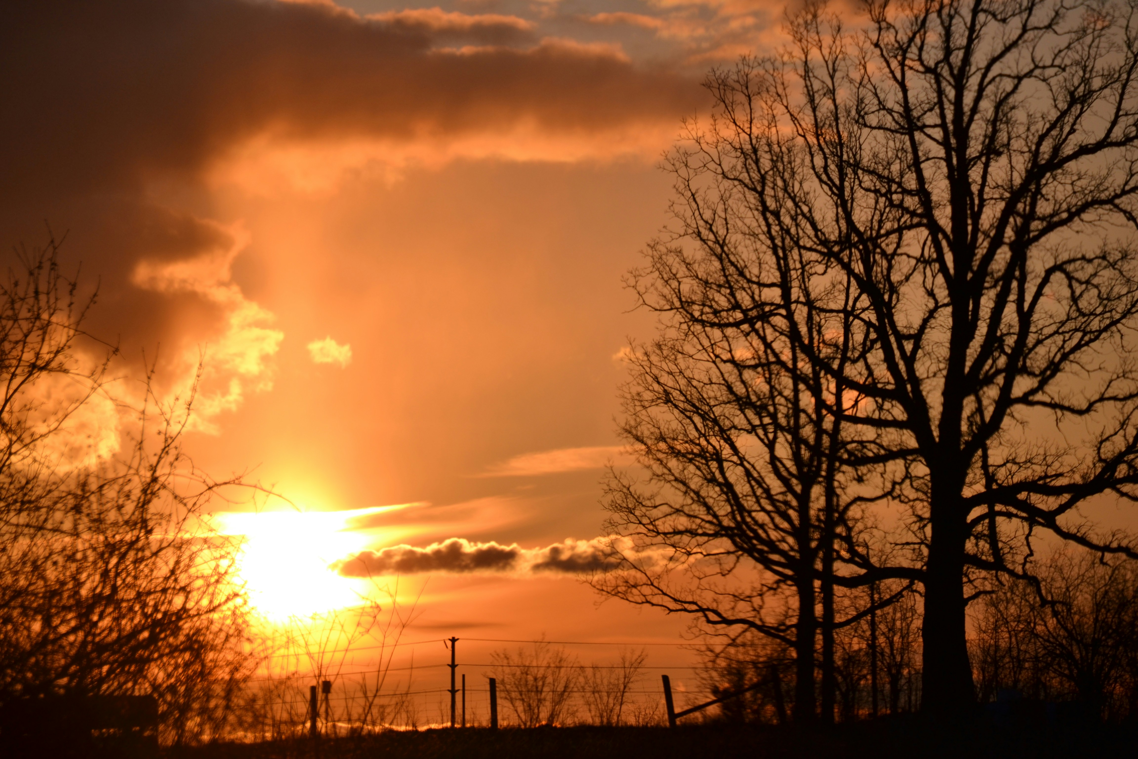 Photo by sassygreenboots