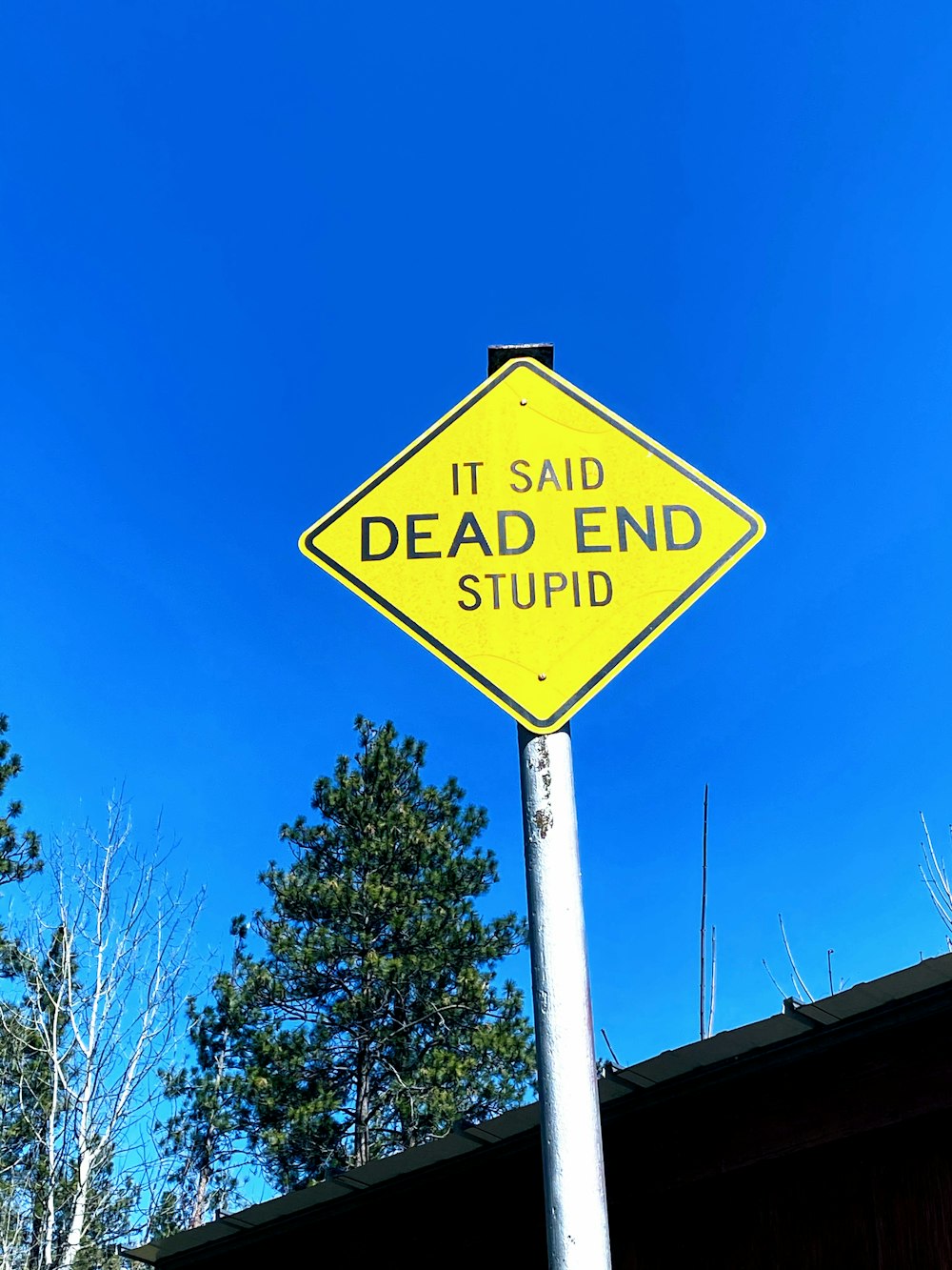a yellow sign that says it said dead end stupid