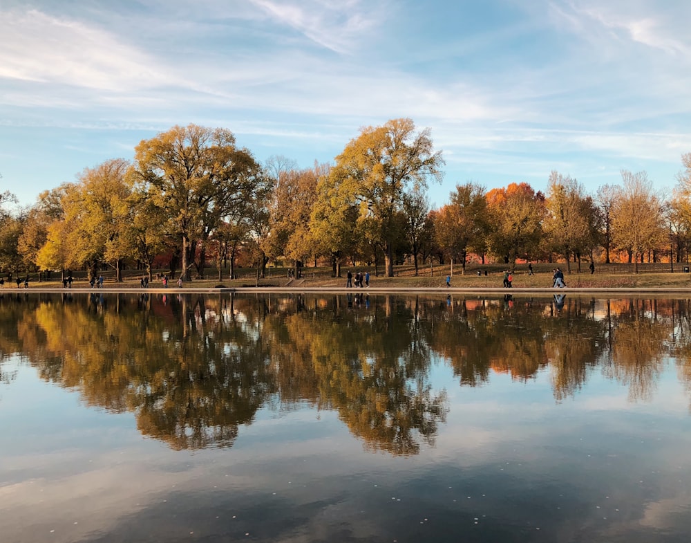 brown and green trees beside lake under blue sky during daytime