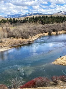 Canne à pêche classique