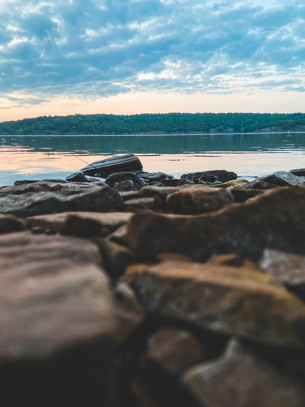 black and white rocks near body of water during daytime