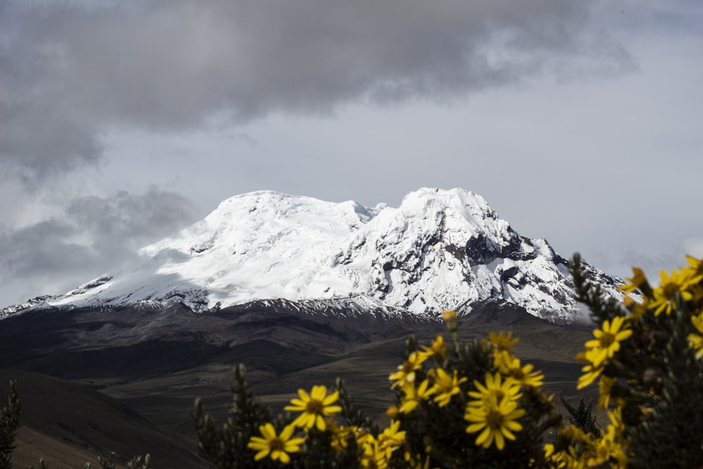 snow covered mountain under cloudy sky during daytime