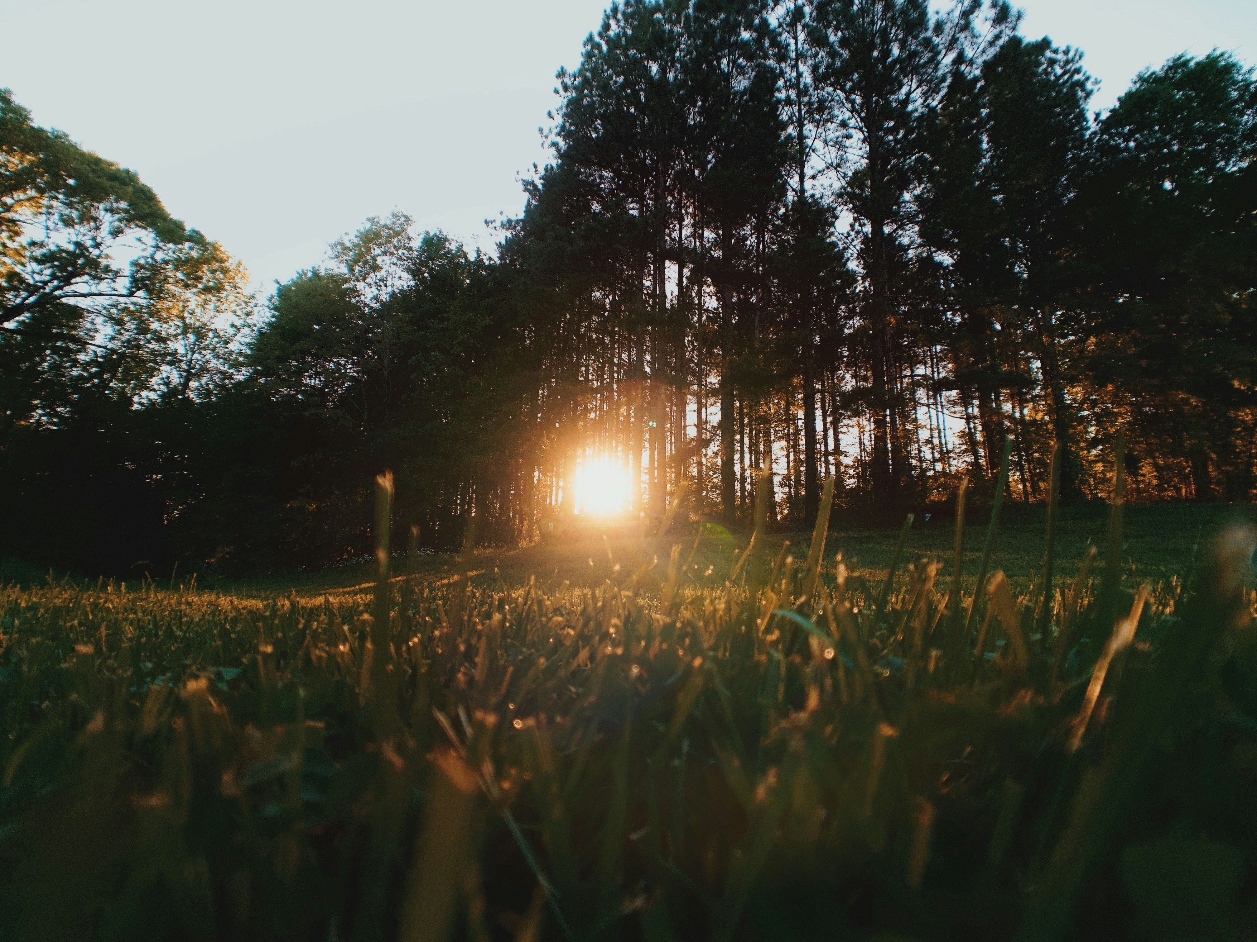 Photo by caseycalhoun