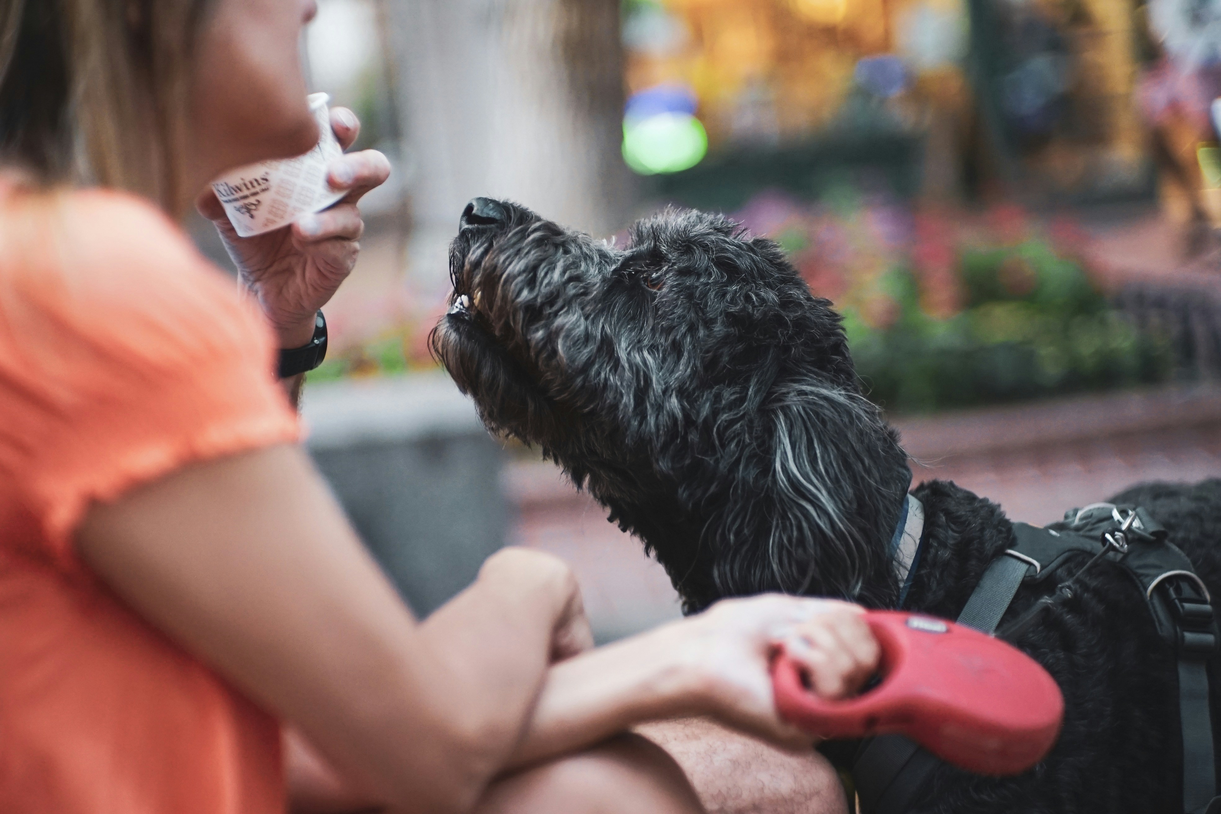 Photo by itworkonline