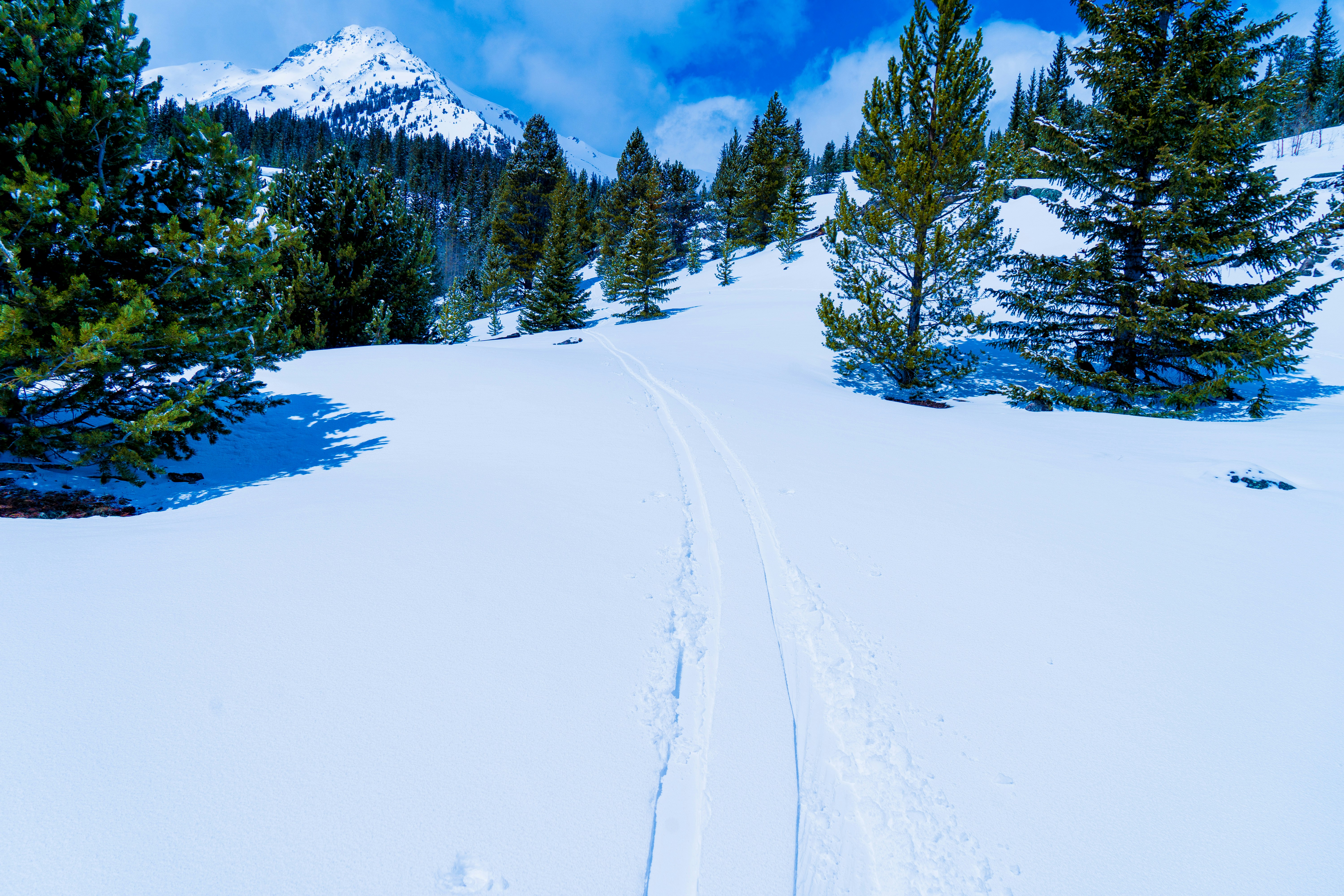 Bluestone Park
