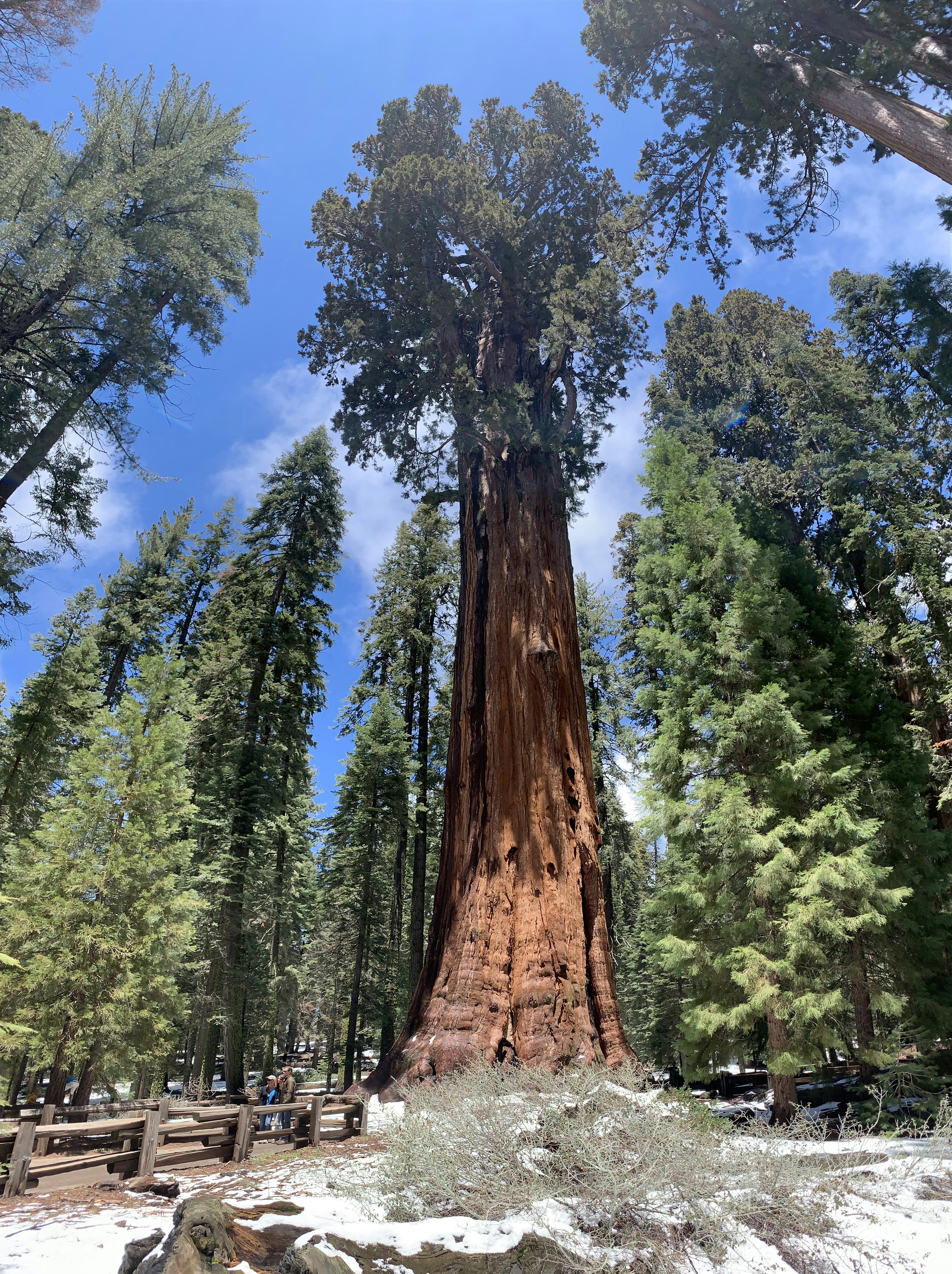 A New Leadership Era at Sequoia Capital