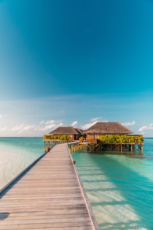 A long wooden pier leads out to overwater bungalows surrounded by clear turquoise water and a vibrant blue sky. The bungalows are adorned with greenery and sit on stilts above the water.