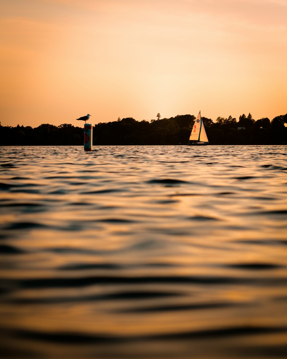 silhouette of sailboat on sea during sunset