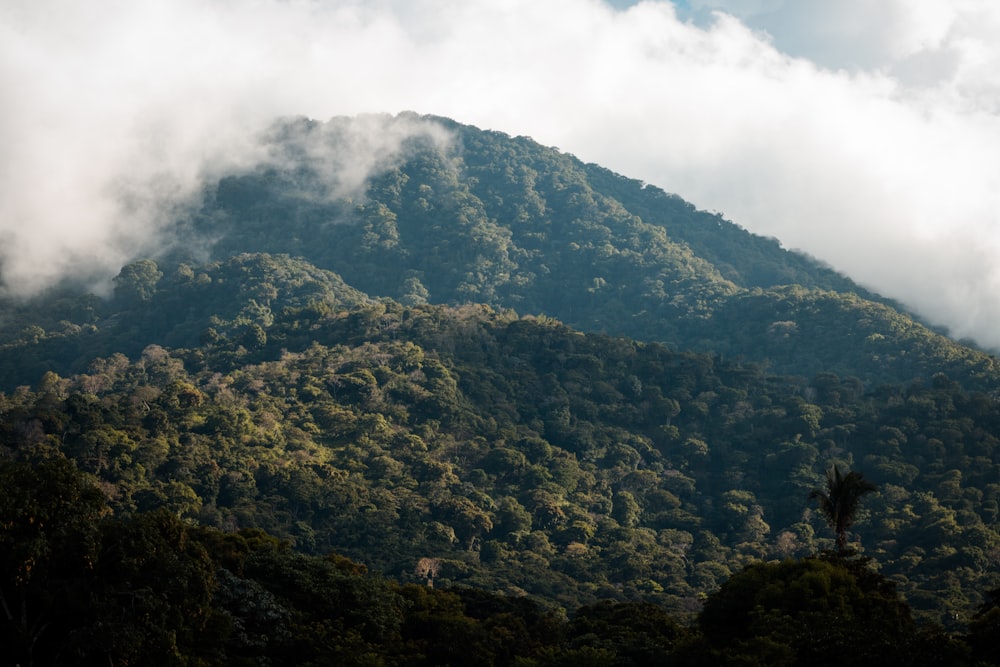 green and black mountain under white clouds during daytime