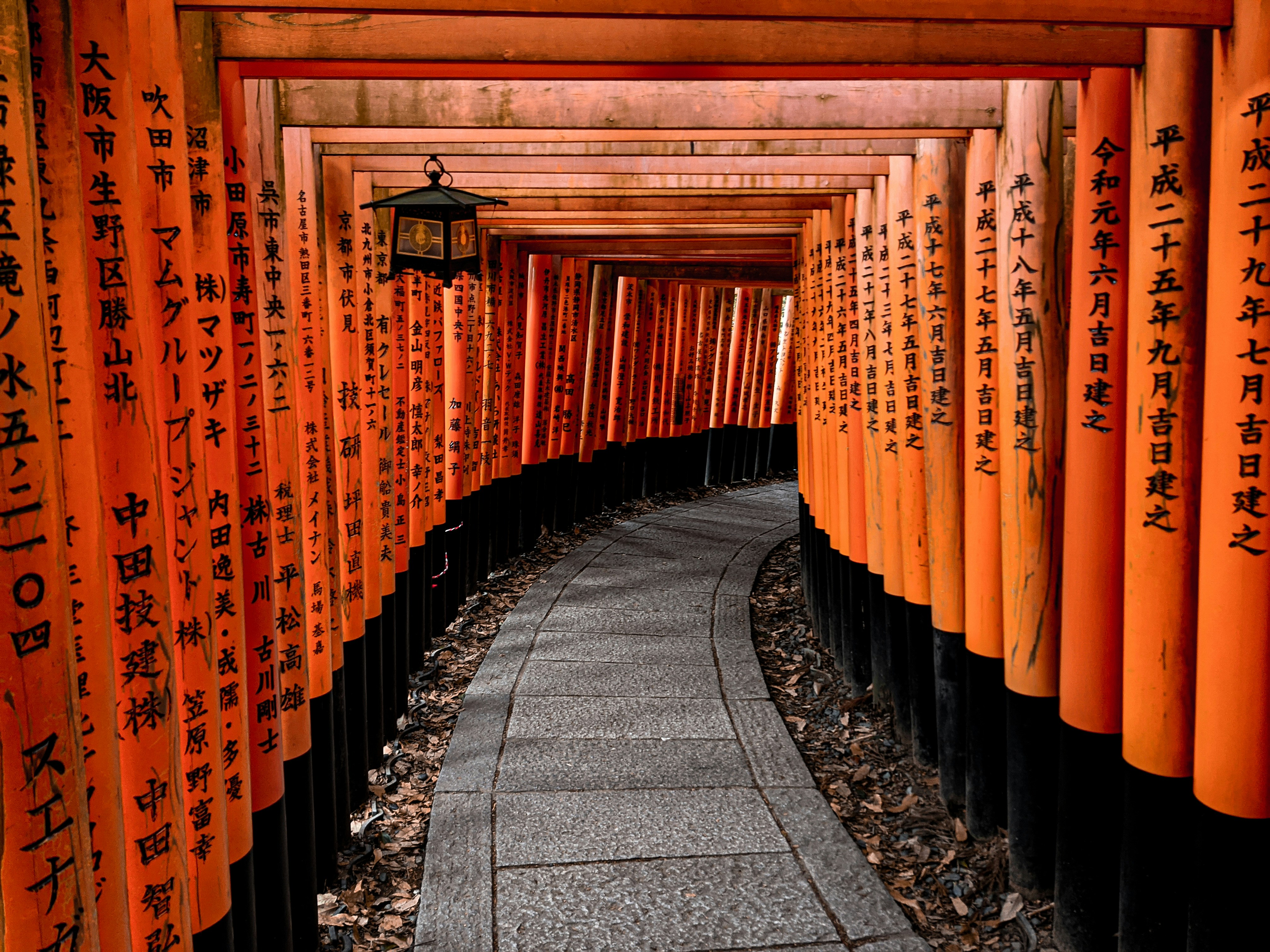 Photo by jasperwilde