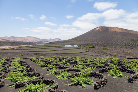 green grass field near mountain under white clouds during daytime