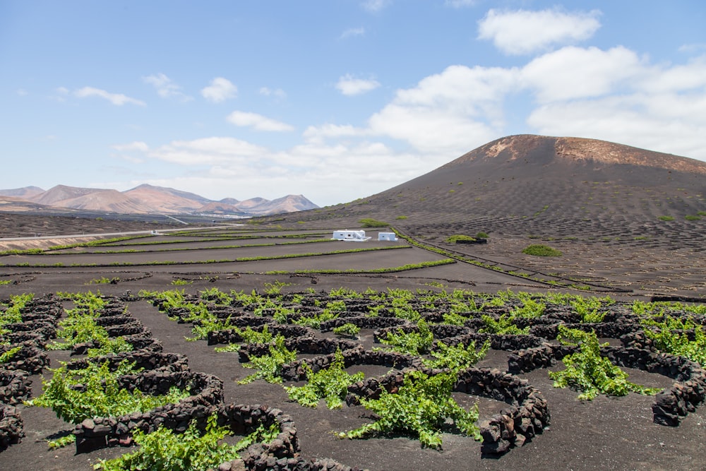 campo de grama verde perto da montanha sob nuvens brancas durante o dia