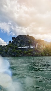 green trees on island during daytime
